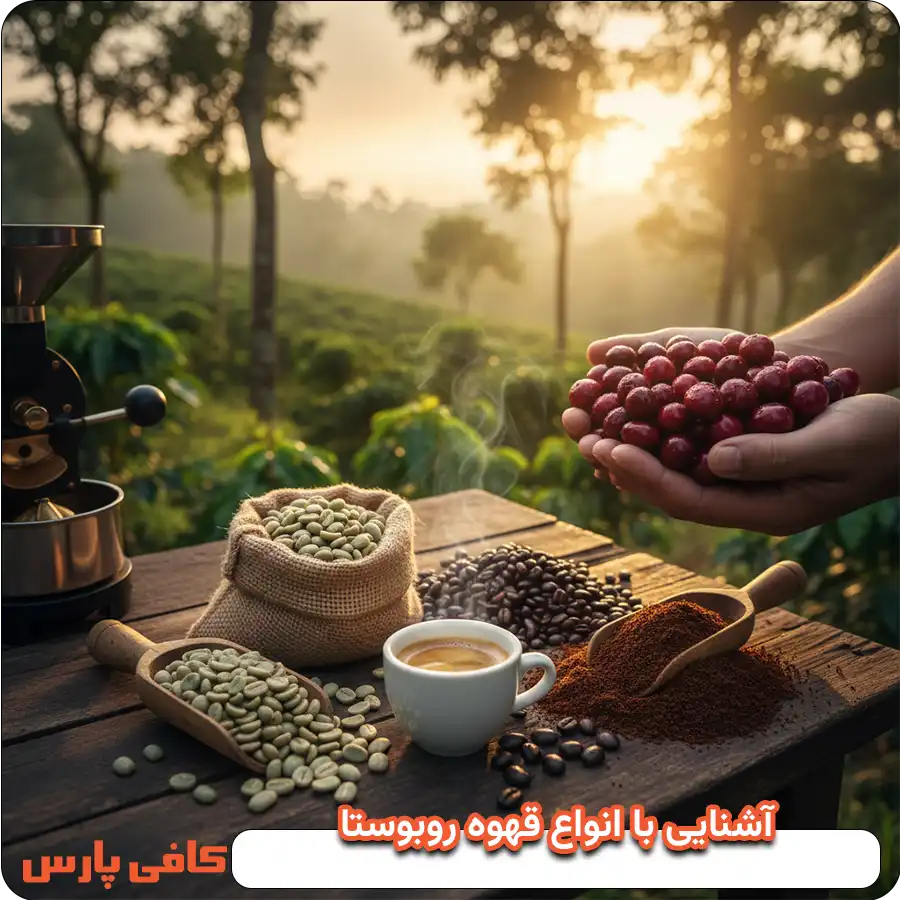 آشنایی با انواع قهوه روبوستا
