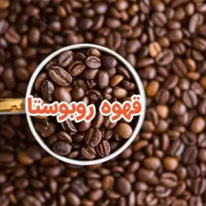 قهوه روبوستا