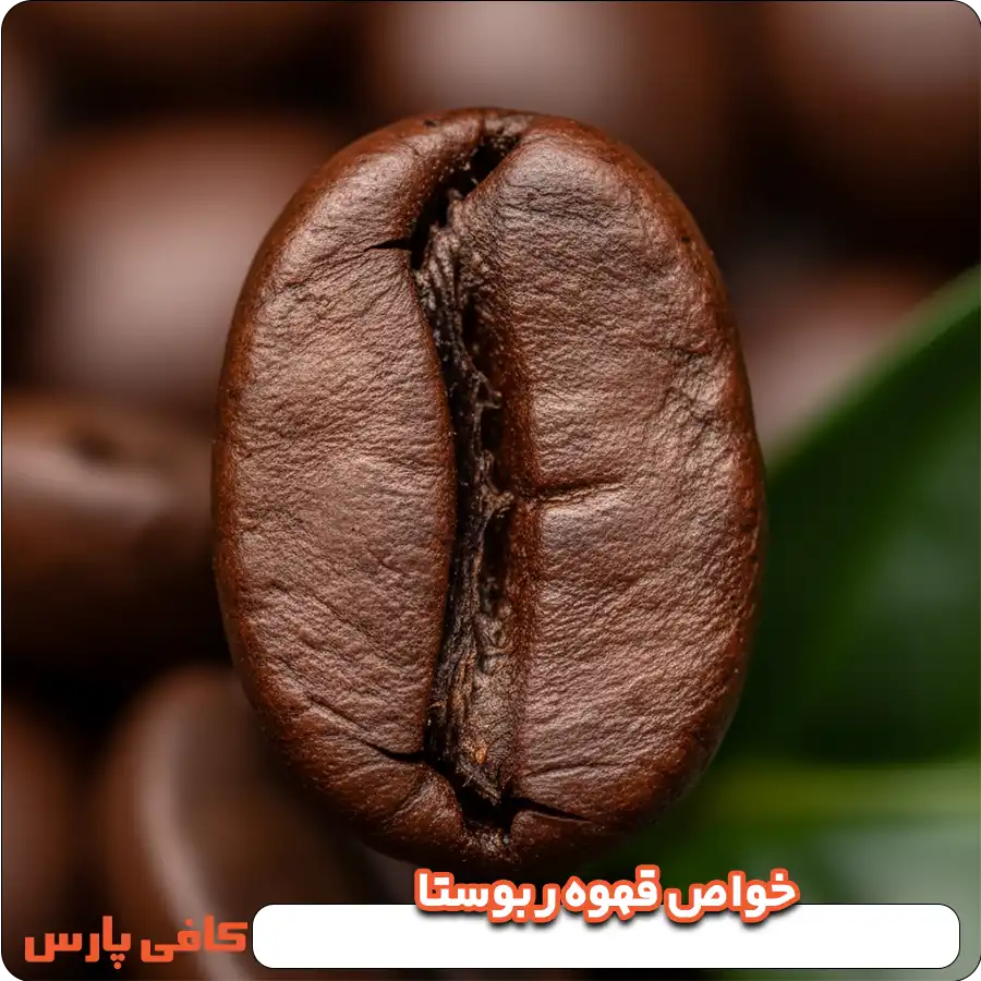 خواص قهوه ربوستا