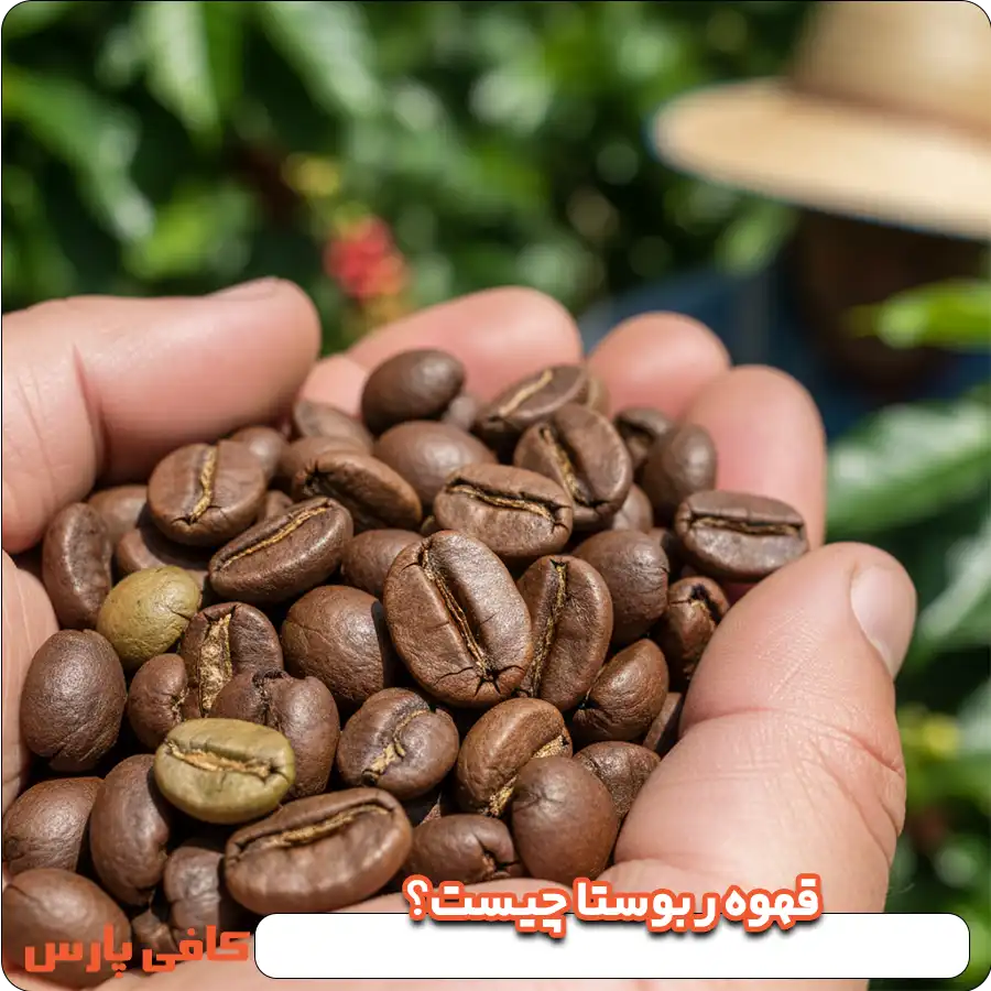 قهوه ربوستا چیست؟