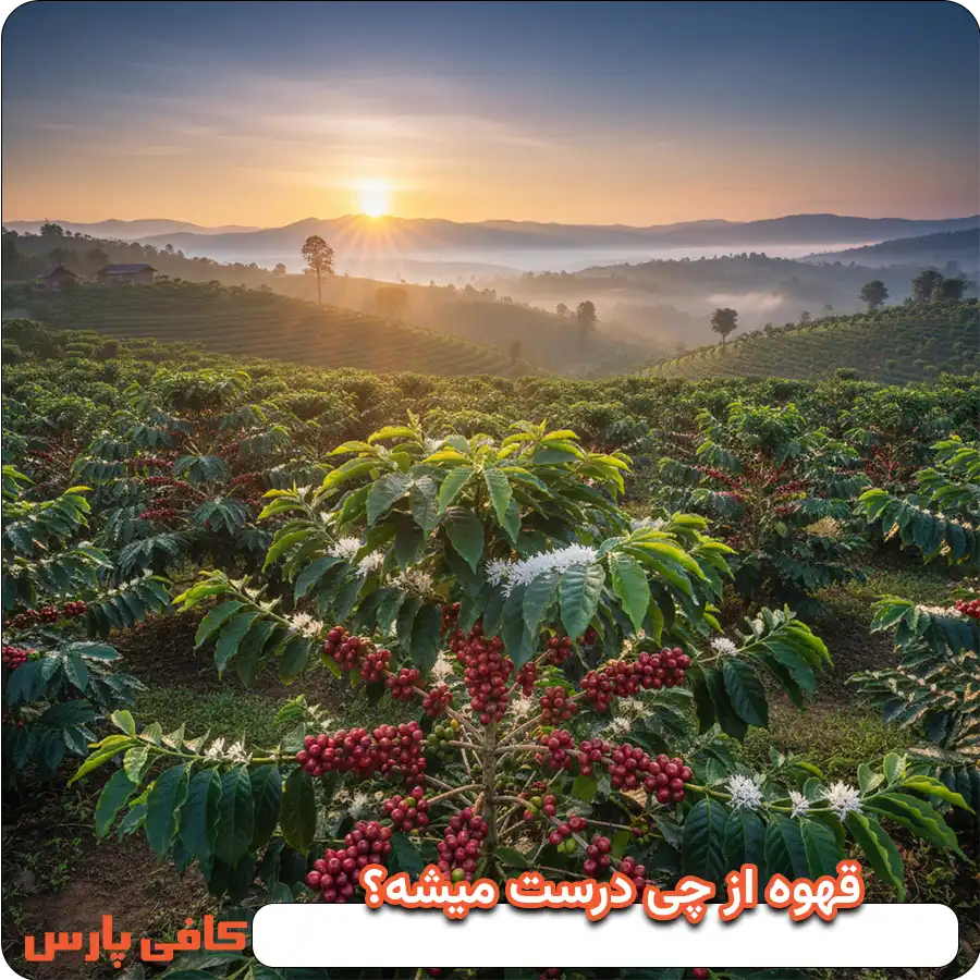 قهوه از چی درست میشه؟