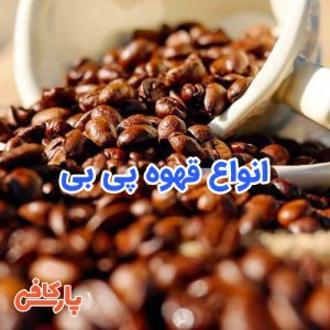 انواع قهوه پی بی