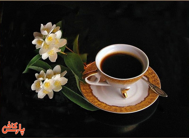عطر و طعم قهوه را بشناسید
