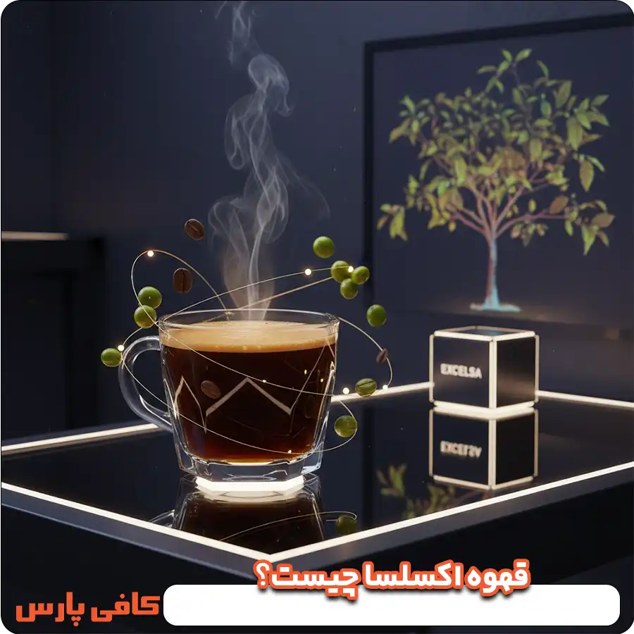 قهوه اکسلسا چیست؟
