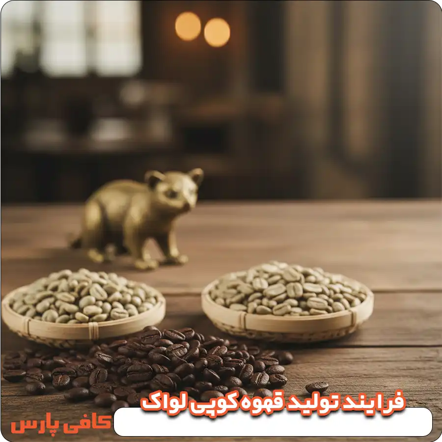 فرایند تولید قهوه کوپی لواک