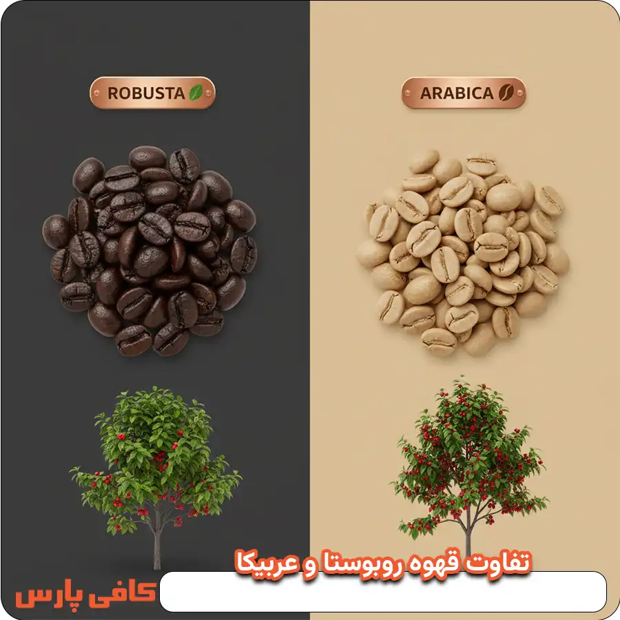 روبوستا و عربیکا