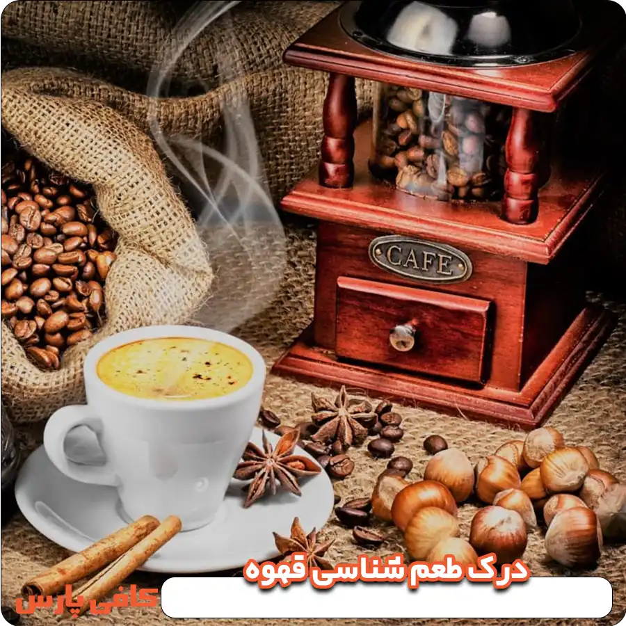 درک طعم شناسی قهوه