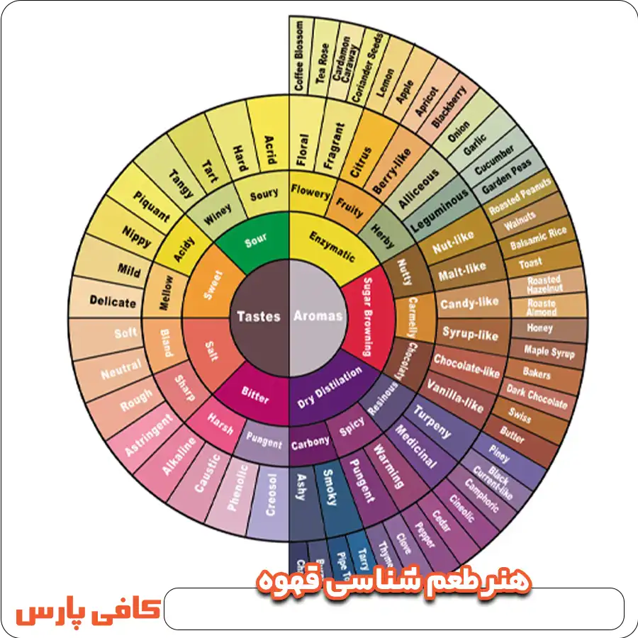 هنر طعم شناسی قهوه